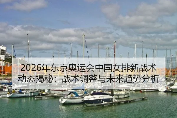 2026年东京奥运会中国女排新战术动态揭秘：战术调整与未来趋势分析